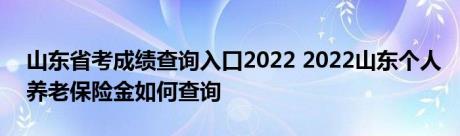 山东省考成绩查询入口2022 2022山东个人养老保险金如何查询 