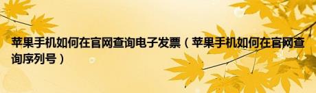 苹果手机如何在官网查询电子发票（苹果手机如何在官网查询序列号）