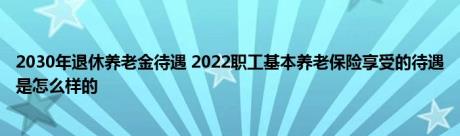 2030年退休养老金待遇 2022职工基本养老保险享受的待遇是怎么样的 