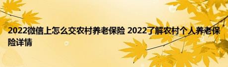 2022微信上怎么交农村养老保险 2022了解农村个人养老保险详情 