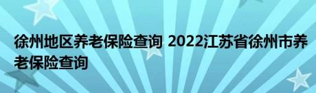 徐州地区养老保险查询 2022江苏省徐州市养老保险查询 