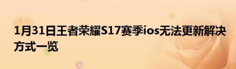 1月31日王者荣耀S17赛季ios无法更新解决方式一览