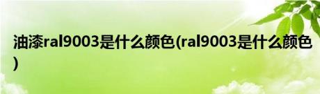 油漆ral9003是什么颜色(ral9003是什么颜色)