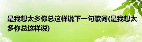 是我想太多你总这样说下一句歌词(是我想太多你总这样说)