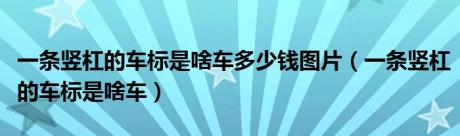 一条竖杠的车标是啥车多少钱图片（一条竖杠的车标是啥车）