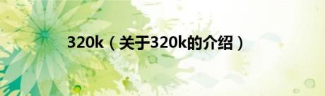 320k（关于320k的介绍）