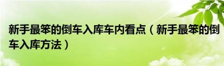 新手最笨的倒车入库车内看点（新手最笨的倒车入库方法）