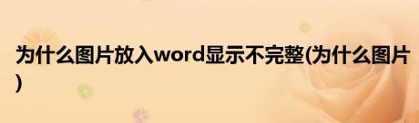 为什么图片放入word显示不完整(为什么图片)