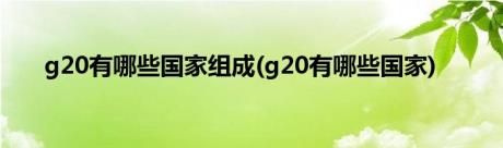 g20有哪些国家组成(g20有哪些国家)