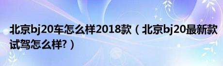 北京bj20车怎么样2018款（北京bj20最新款试驾怎么样?）