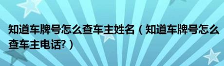 知道车牌号怎么查车主姓名（知道车牌号怎么查车主电话?）