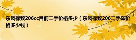 东风标致206cc目前二手价格多少（东风标致206二手车价格多少钱）