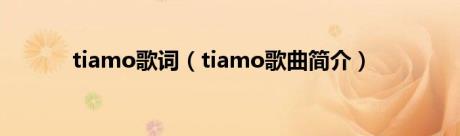 tiamo歌词（tiamo歌曲简介）