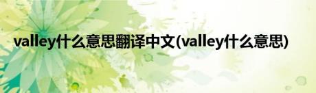 valley什么意思翻译中文(valley什么意思)