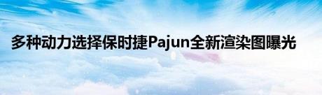 多种动力选择保时捷Pajun全新渲染图曝光