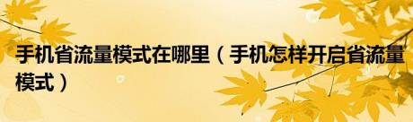 手机省流量模式在哪里（手机怎样开启省流量模式）