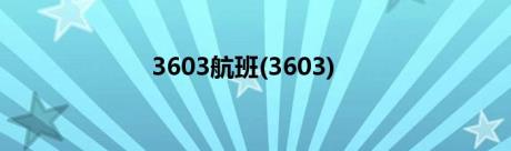 3603航班(3603)