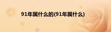 91年属什么的(91年属什么)