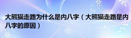 大熊猫走路为什么是内八字（大熊猫走路是内八字的原因）