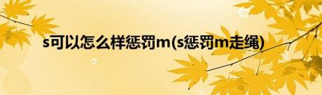 s可以怎么样惩罚m(s惩罚m走绳)