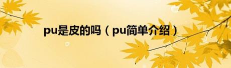 pu是皮的吗（pu简单介绍）