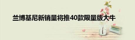 兰博基尼新销量将推40款限量版大牛