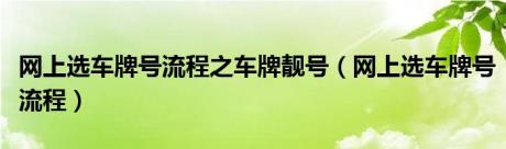 网上选车牌号流程之车牌靓号（网上选车牌号流程）