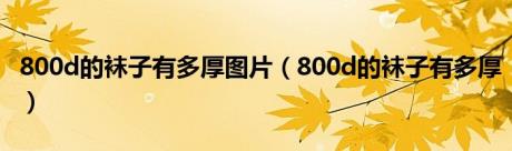 800d的袜子有多厚图片（800d的袜子有多厚）