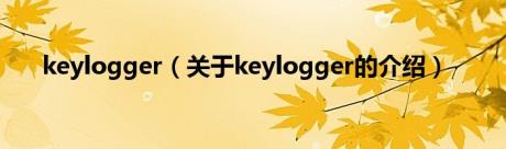 keylogger（关于keylogger的介绍）