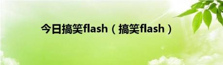 今日搞笑flash（搞笑flash）