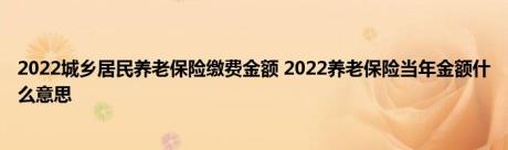 2022城乡居民养老保险缴费金额 2022养老保险当年金额什么意思 