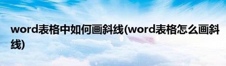 word表格中如何画斜线(word表格怎么画斜线)