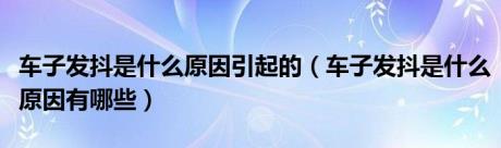 车子发抖是什么原因引起的（车子发抖是什么原因有哪些）