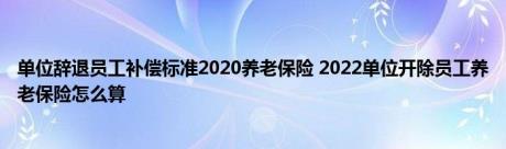 单位辞退员工补偿标准2020养老保险 2022单位开除员工养老保险怎么算 