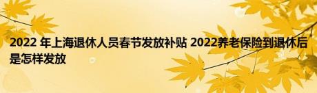 2022 年上海退休人员春节发放补贴 2022养老保险到退休后是怎样发放 