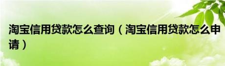 淘宝信用贷款怎么查询（淘宝信用贷款怎么申请）