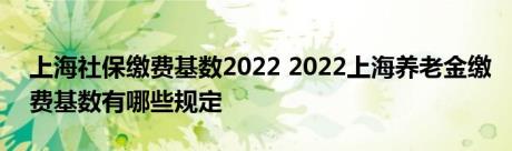 上海社保缴费基数2022 2022上海养老金缴费基数有哪些规定 