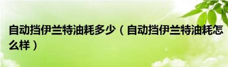 自动挡伊兰特油耗多少（自动挡伊兰特油耗怎么样）