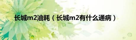 长城m2油耗（长城m2有什么通病）