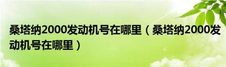 桑塔纳2000发动机号在哪里（桑塔纳2000发动机号在哪里）