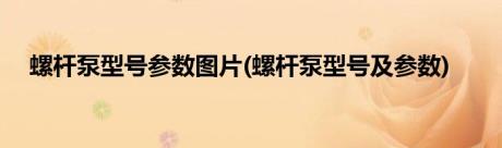 螺杆泵型号参数图片(螺杆泵型号及参数)