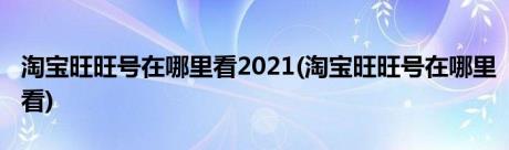 淘宝旺旺号在哪里看2021(淘宝旺旺号在哪里看)