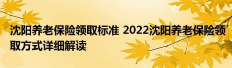 沈阳养老保险领取标准 2022沈阳养老保险领取方式详细解读 