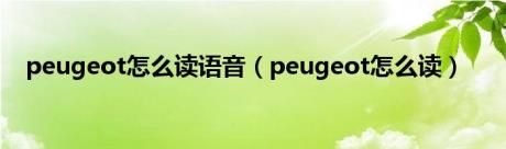 peugeot怎么读语音（peugeot怎么读）