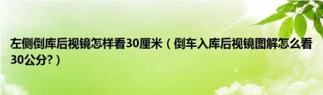 左侧倒库后视镜怎样看30厘米（倒车入库后视镜图解怎么看30公分?）