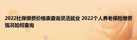 2022社保缴费价格表查询灵活就业 2022个人养老保险缴费情况如何查询 