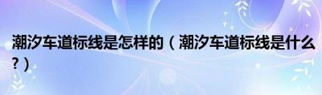 潮汐车道标线是怎样的（潮汐车道标线是什么?）