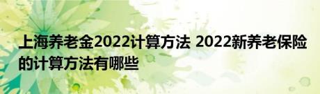 上海养老金2022计算方法 2022新养老保险的计算方法有哪些 