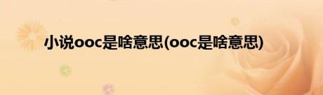 小说ooc是啥意思(ooc是啥意思)