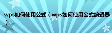 wps如何使用公式（wps如何使用公式编辑器）